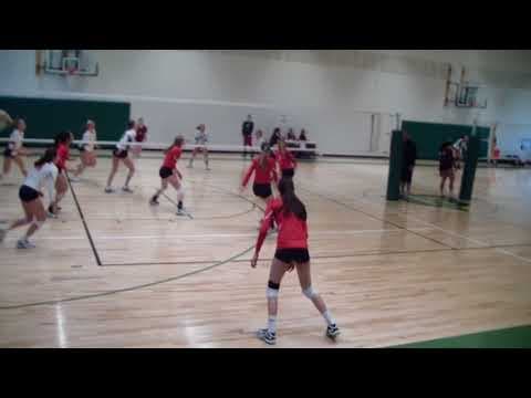 Video of All Hitting
