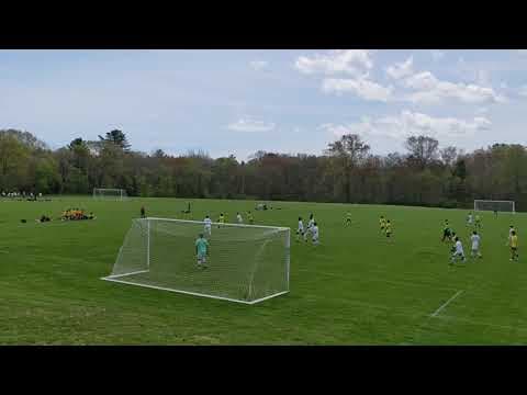 Video of Foul or not?