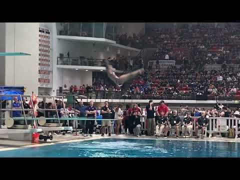 Video of Sophie Slayden (2023, SAT 1490, GPA 4.08)  Diving February 2022