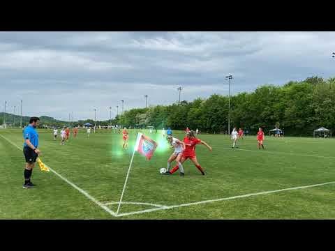 Video of Highlights