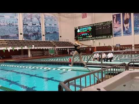 Video of #NHdiving Chagrin Falls' Kate LaMonica dives at district