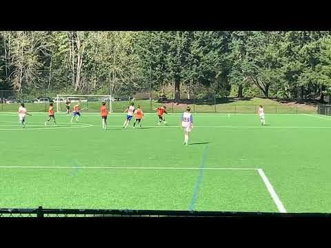 Video of Niko HS Reel 2023 Varsity Season