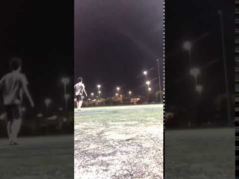Video of Punting