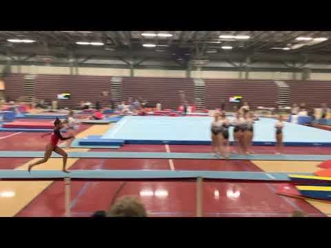 Video of Level 8 Vault