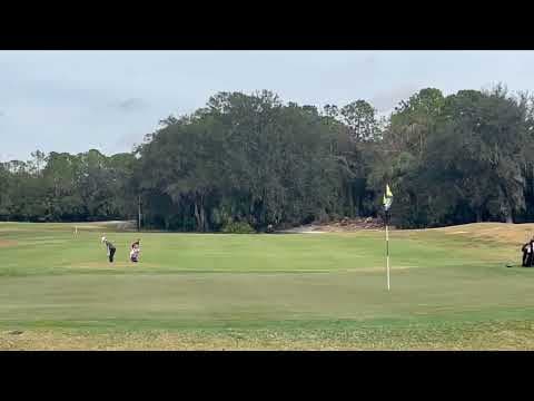 Video of Flighted Wedge