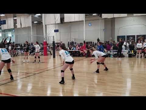Video of 2019 Highlights 