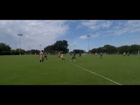 Video of Highlights 2