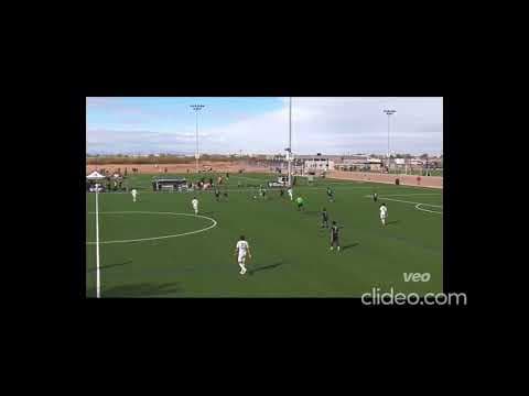 Video of Highlights