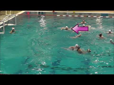 Video of Maya Mohebbizadeh Water Polo Highlights 2018