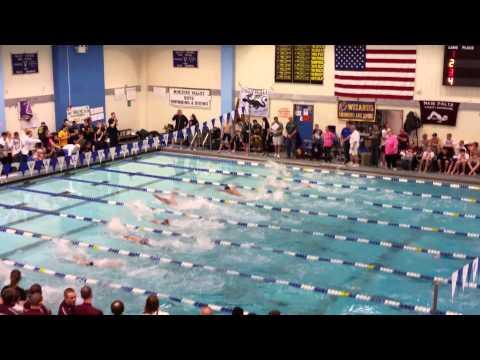 Video of 100 Fly / 2015 SECTION IX CHAMPIONSHIP FINALS / LANE 3 / RED & BLACK SUIT