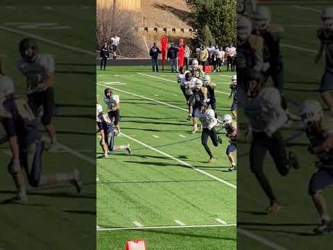 Video of 2020 Season - 31 Yard Touchdown Run