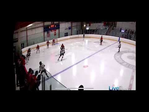 Video of Top Shelf Goal From Blueline