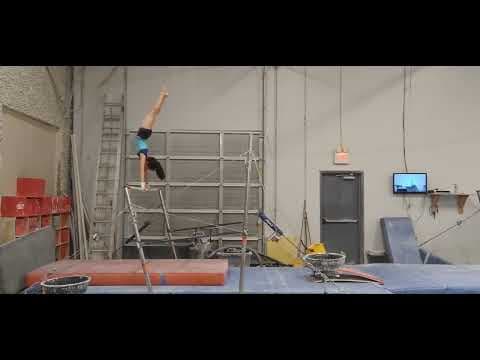 Video of Level 10 Vault & Bars