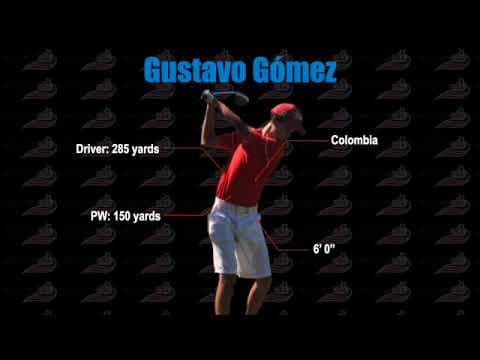 Video of Gustavo Gomez Swing Video
