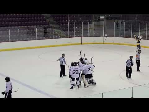 Video of Michael Savic: Overtime Winner