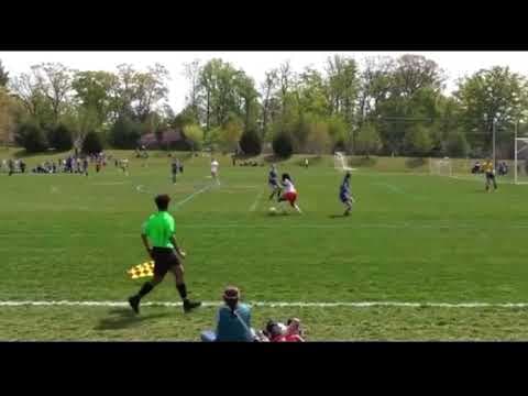 Video of Highlights 