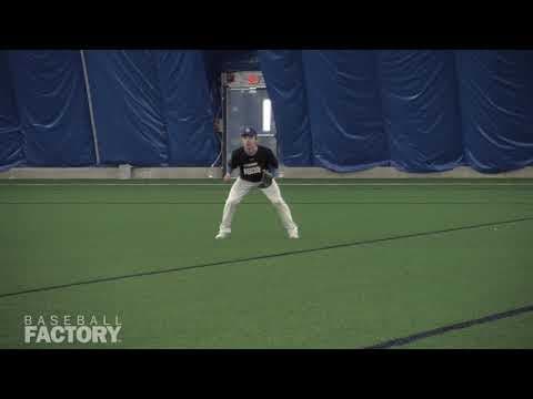 Video of Timmy 