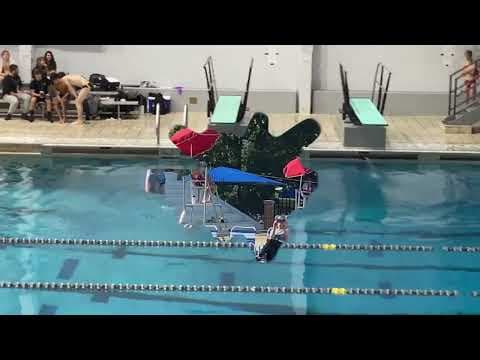 Video of multiple 1 meter dives Fr-Jr years