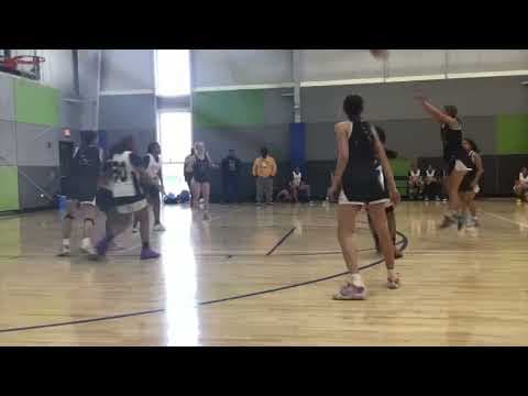 Video of Michigan Cobras Spring Travel Highlights