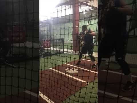 Video of In the Cage