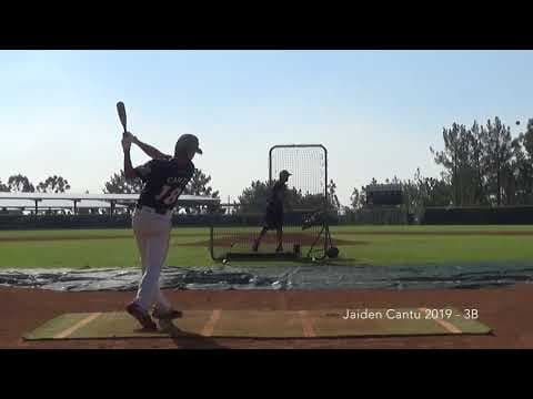 Video of October 2017