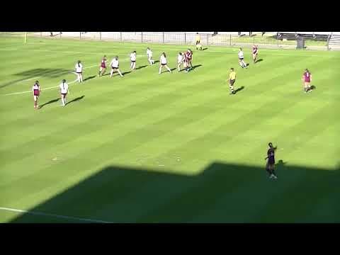 Video of Highlights