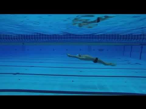Video of Ronens Kermans