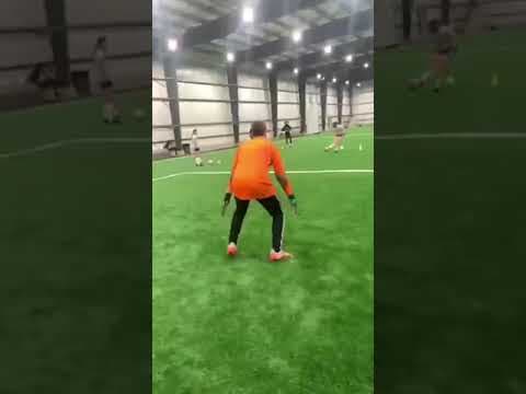 Video of Goalie Training CFC Park February 2021