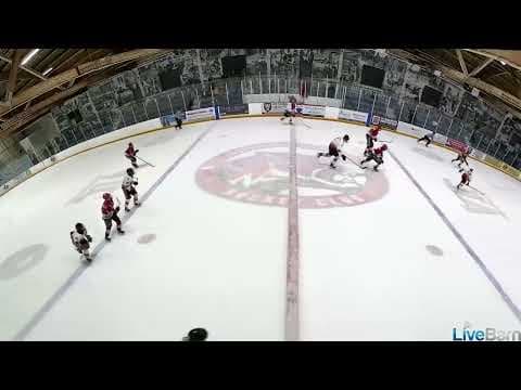 Video of October 30 2025 VS Streetsville Tigers