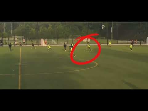 Video of Nicholas lulu highlight reel