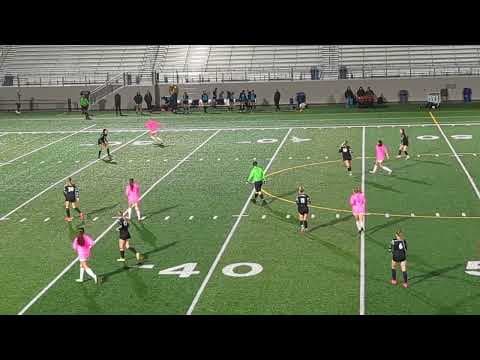 Video of 2023