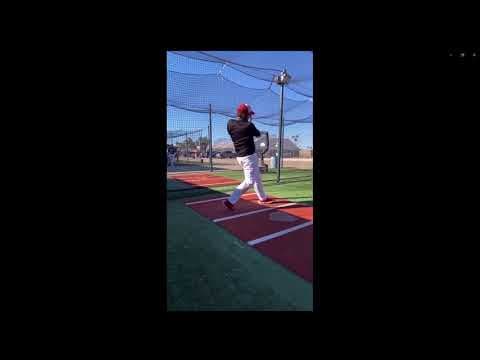 Video of Timothy Buckles Hitting for Arizona Christian University showcase