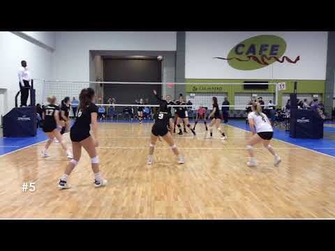 Video of 2020 Setter Ruby Reich #5