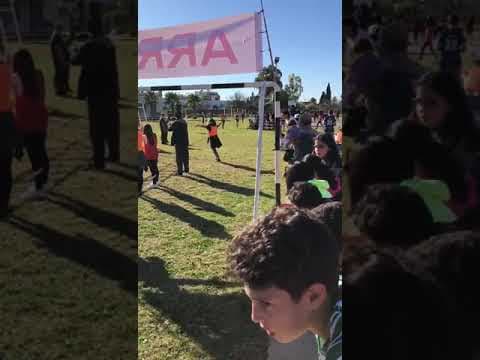 Video of UNSSFM national xc championships  closing stretch (Evan David, GWA, 4th place)