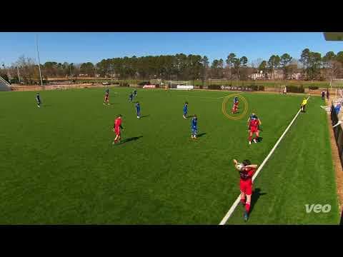 Video of February 2025 Highlights