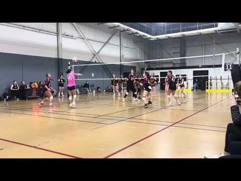 Video of Cover highlight