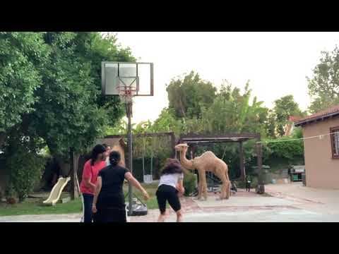 Video of Scrimmage 2