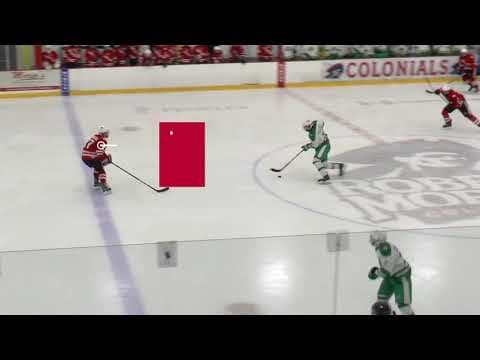 Video of 2018/2019 Tyler Morgan West Allegheny Varsity Ice Hockey Video