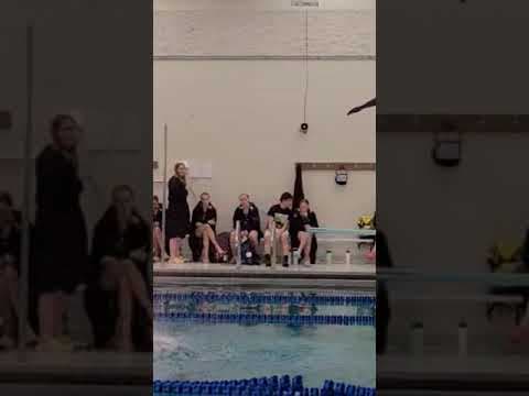 Video of 5231D - Back 1½, ½ twist