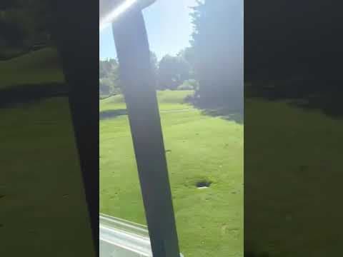 Video of Wedge Swing (Front View)