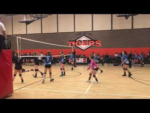 Video of Reece Setter 2020