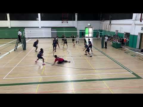 Video of Teyfen Jones #6 Setter for Naples (Green)