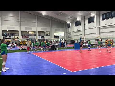 Video of #24 Setter