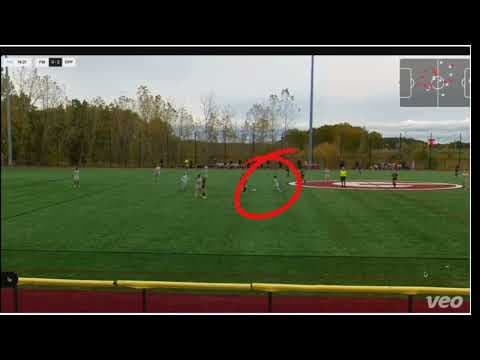 Video of Soccer video