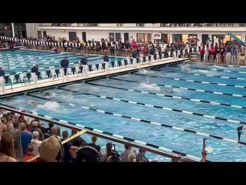 Video of 2023 IHSA State Championship 200 Free Relay prelim leg 4 23.20