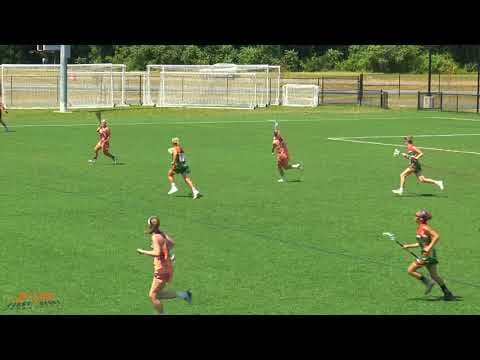 Video of 2018 Highlights (Update)