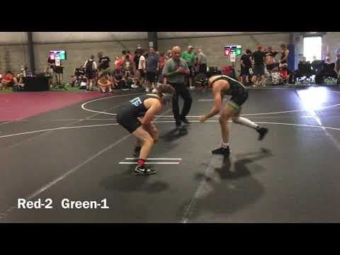 Video of Bison Duals