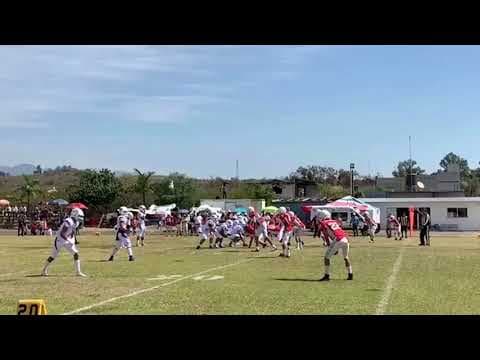Video of 2020 Highlights