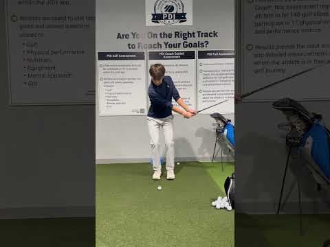 Video of Chipping