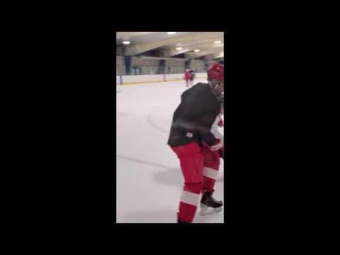 Video of 4D Training 2